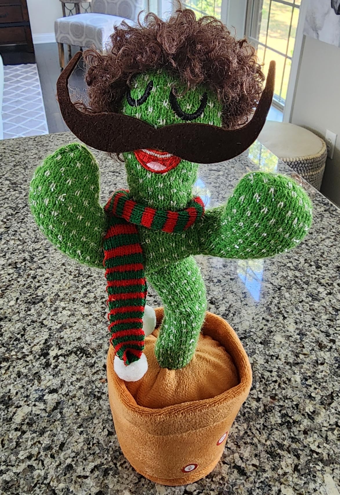 files/IMG_AVC_CACTUS_3.jpg